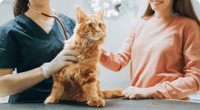 Fotografía de Veterinaria de Mixco