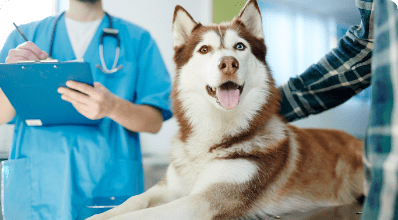 Fotografía de Veterinaria Reyes