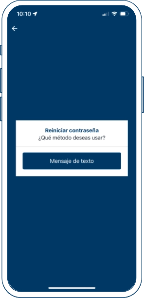 reinicia-contrasena-desde-bi-en-linea-app-3