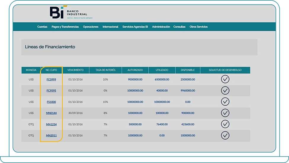 Lineas de Financiamiento- Consultas Pantalla 02