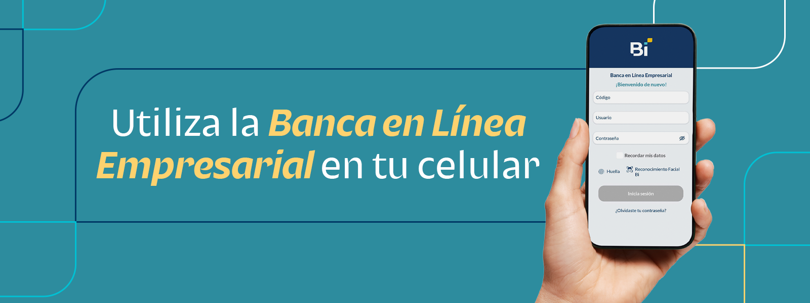 Utiliza la Banca en Línea Empresarial en tu celular