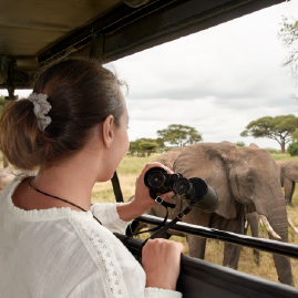 sorteo-safari-en-namibia-mufasa-el-rey-león-de-disney_1