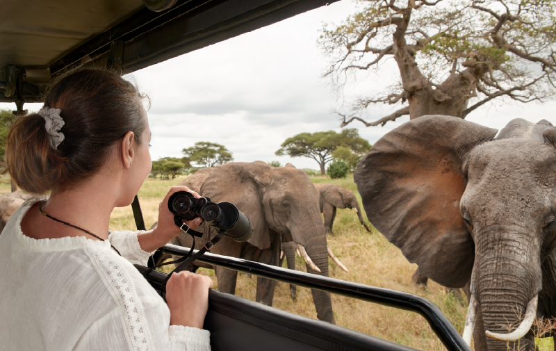 sorteo-safari-en-namibia-mufasa-el-rey-león-de-disney_2