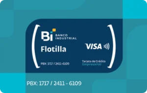 tarjetas-bi-galeria-empresarial-visa-compras