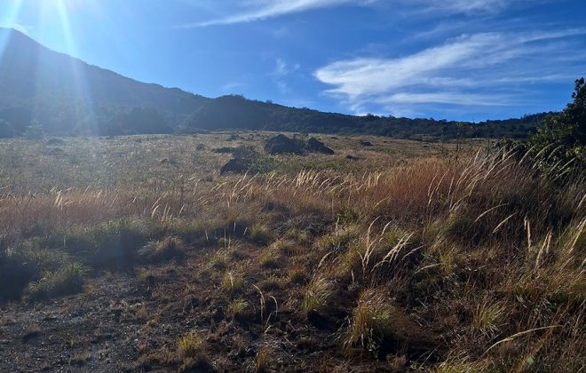 bien-reposeido-propiedad-volcan-paso-ancho-chiriqui-5