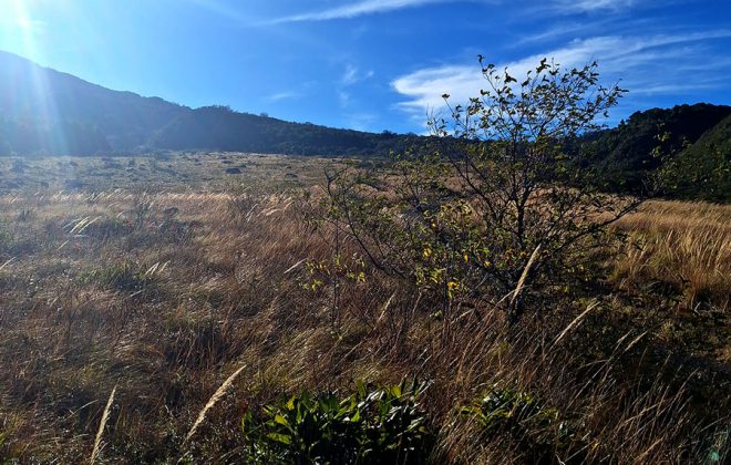 bien-reposeido-propiedad-volcan-paso-ancho-chiriqui-6