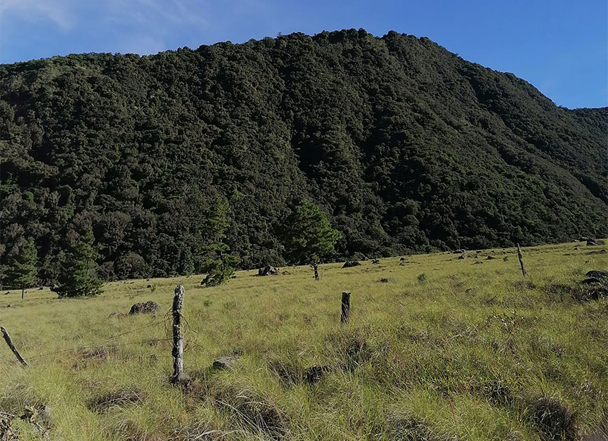 bien-reposeido-propiedad-volcan-paso-ancho-chiriqui-principal